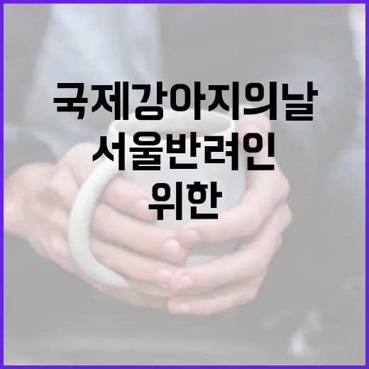 서울 반려인 위한 국제 강아지의 날 지원 총정리