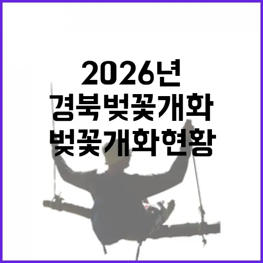 2026년 경북 벚꽃 개화 현황