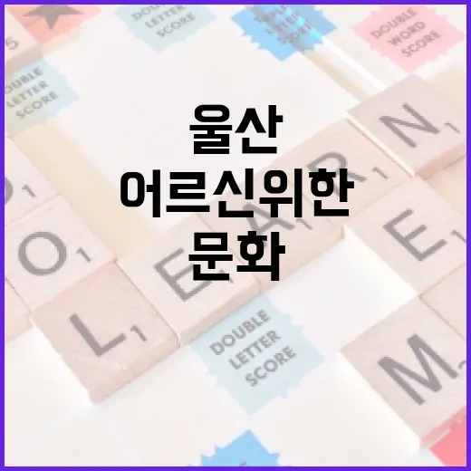 울산 어르신 위한 맞춤형 문화 체험 프로그램