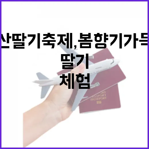 논산 딸기축제, 봄 향기 가득한 체험의 장