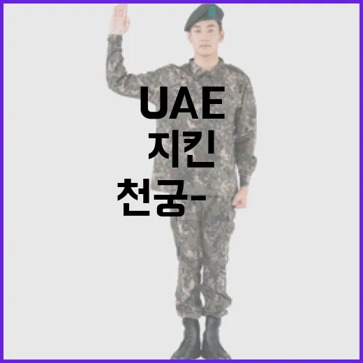 UAE 하늘 지킨 K-미사일 천궁-Ⅱ 위력