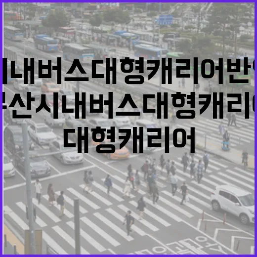 부산 시내버스 대형 캐리어 반입 시범사업 시작