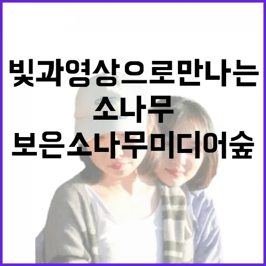 빛과 영상으로 만나는 보은 소나무미디어숲