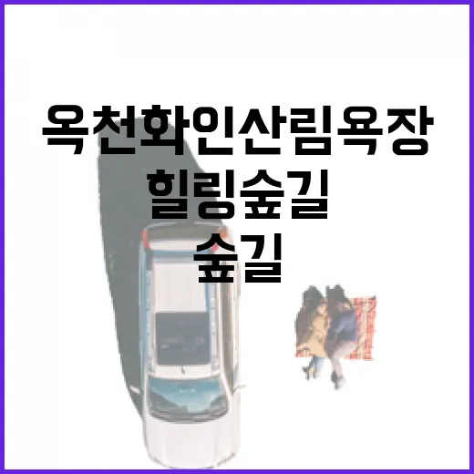 옥천 화인산림욕장, 봄바람 속 힐링 숲길