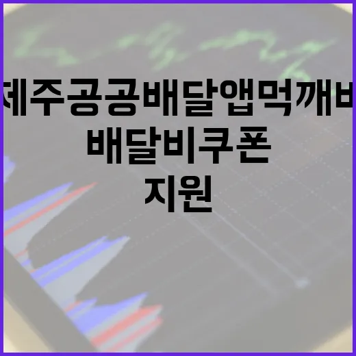제주 공공배달앱 먹깨비, 배달비 쿠폰 지원 확대