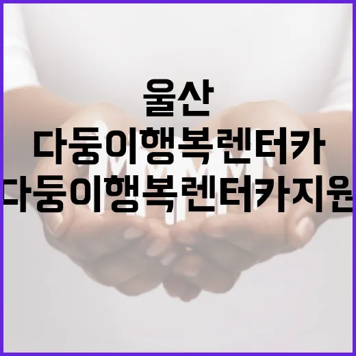 울산 다둥이 행복렌터카 지원 시작