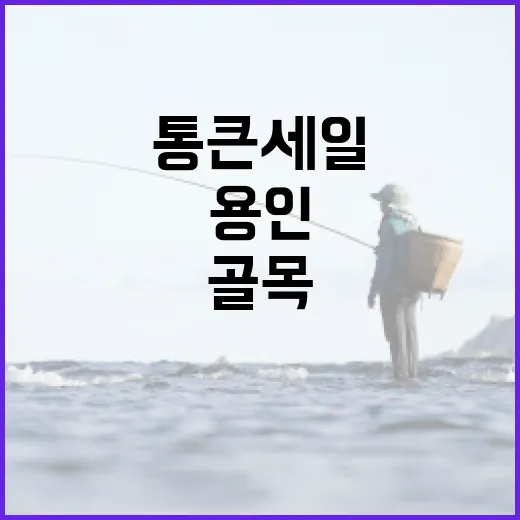 용인 흥덕지구 골목, 통큰 세일 축제 현장