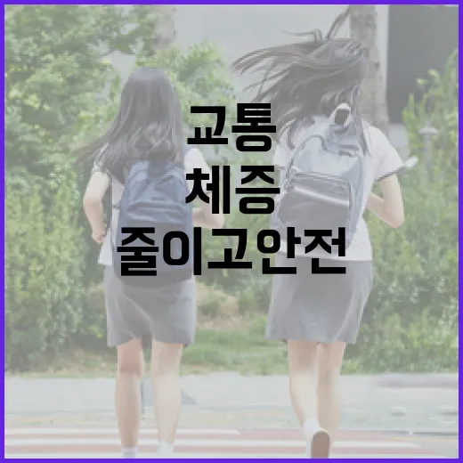 부산 AI 교통관리로 체증 줄이고 안전 강화