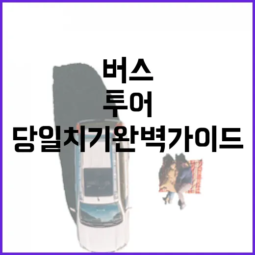 창원 시티투어버스로 당일치기 완벽 가이드