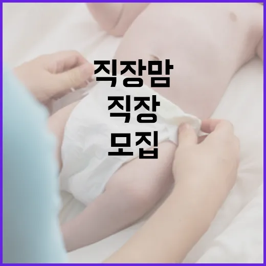 광주 직장맘 위한 무료 정리 컨설팅 모집
