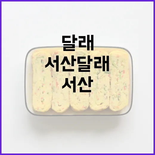 서산달래, 봄철 건강을 담은 향긋한 특산물