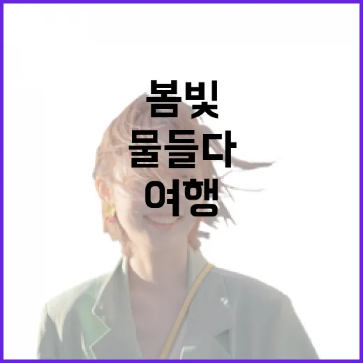 전남 봄빛 여행, 색으로 물들다