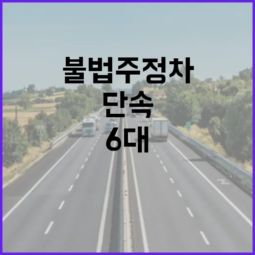 제주 불법 주정차 단속 카메라 6대 신규 설치
