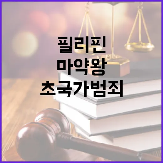 초국가범죄 TF, 필리핀서 마약왕 임시인도 신속 성사