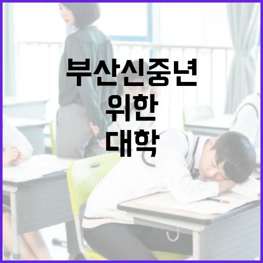 부산 신중년 위한 12개 대학 특화 교육 총정리
