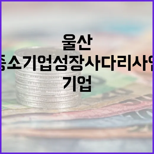 울산 중소기업 성장사다리 사업 모집