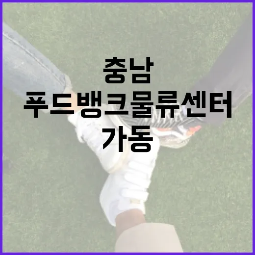 6만 명 살리는 충남 푸드뱅크 물류센터 가동