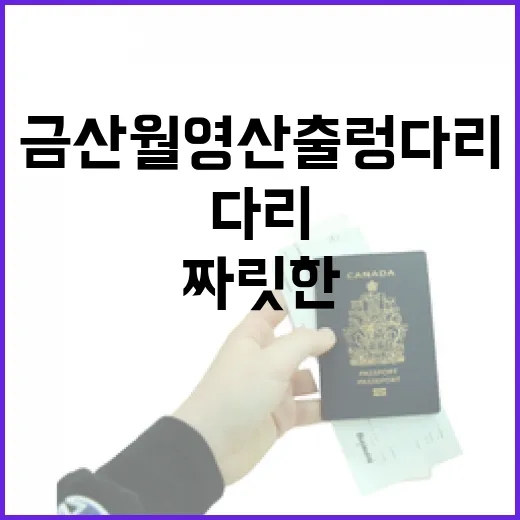 금산 월영산 출렁다리 짜릿한 하늘길