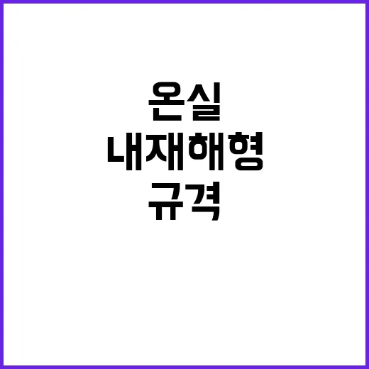 내재해형 온실, 농…