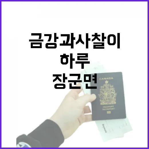 금강과 사찰이 빚어낸 장군면 하루