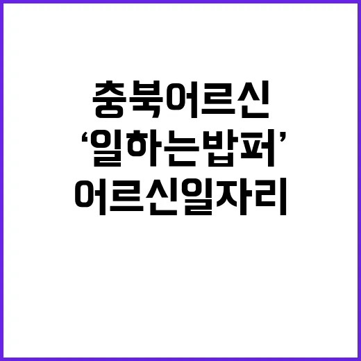 충북 어르신 일자리…