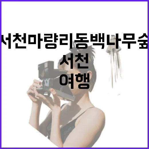 서천 마량리 동백나무숲 스탬프여행의 매력