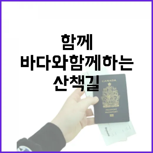 진해루, 바다와 함께하는 힐링 산책길