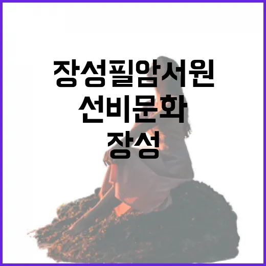 장성 필암서원, 선비 문화의 숨결