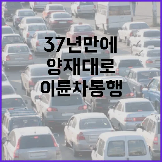 37년 만에 바뀐 양재대로, 이륜차 통행 허용과 교통환경 개선