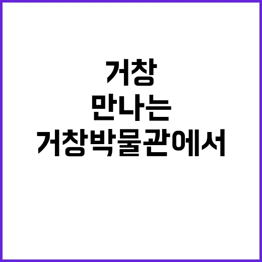 거창박물관에서 만나는 지역의 시간과 삶