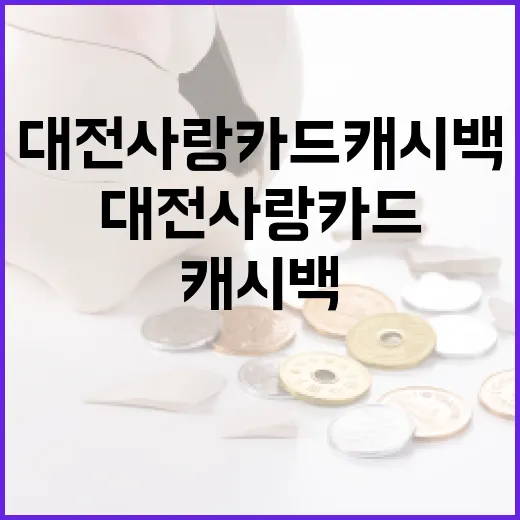 대전사랑카드 캐시백 운영기준 변경