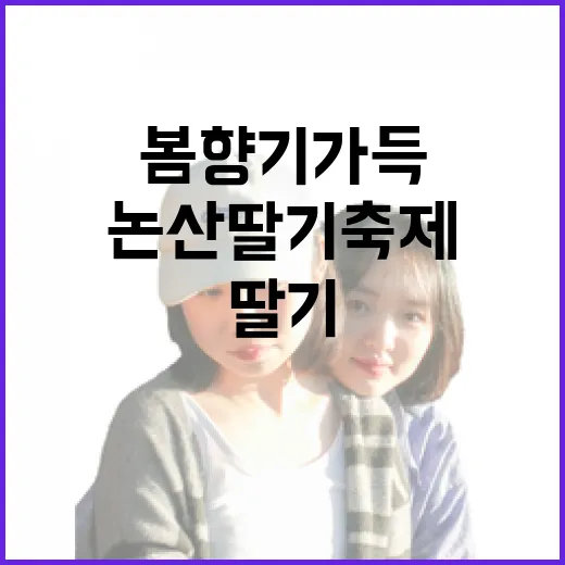 3월 봄 향기 가득 논산딸기축제