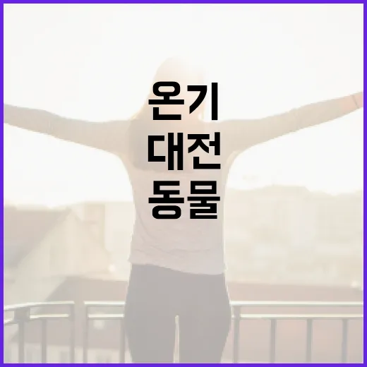 대전동물보호센터에서 전하는 봄날의 온기