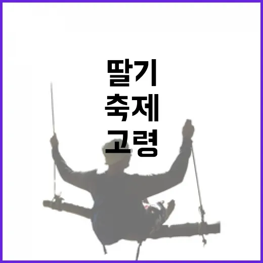 고령 봄철 딸기와 과일 축제 현장