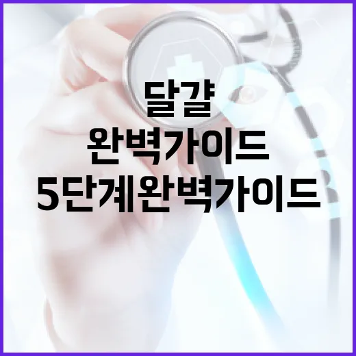 달걀 안전 취급법 5단계 완벽 가이드