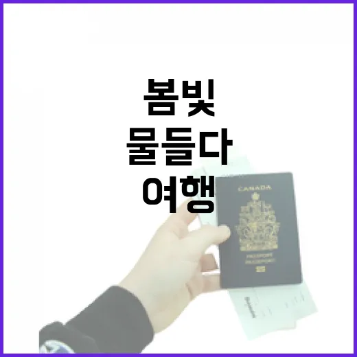 전남 봄빛 여행, 색으로 물들다