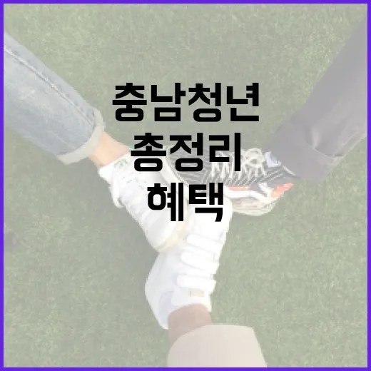 충남 청년 필수 혜택 총정리