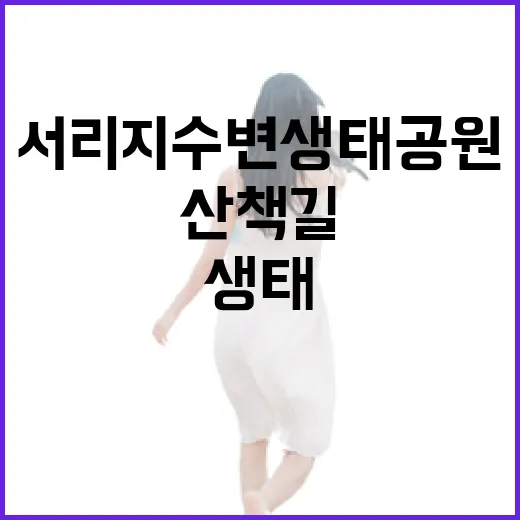 서리지수변생태공원, 자연과 휴식의 산책길
