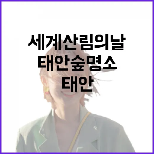 태안 숲 명소에서 만나는 세계 산림의 날