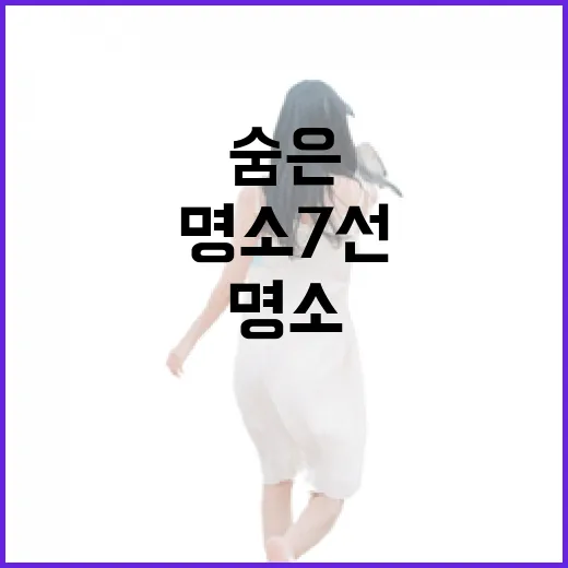전남의 숨은 전망대 명소 7선