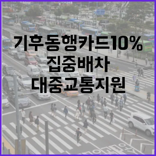 서울시 대중교통 지원 강화, 기후동행카드 10% 환급과 집중배차 확대