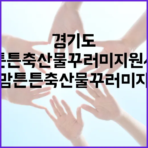 경기도 맘튼튼 축산물 꾸러미 지원사업 재개