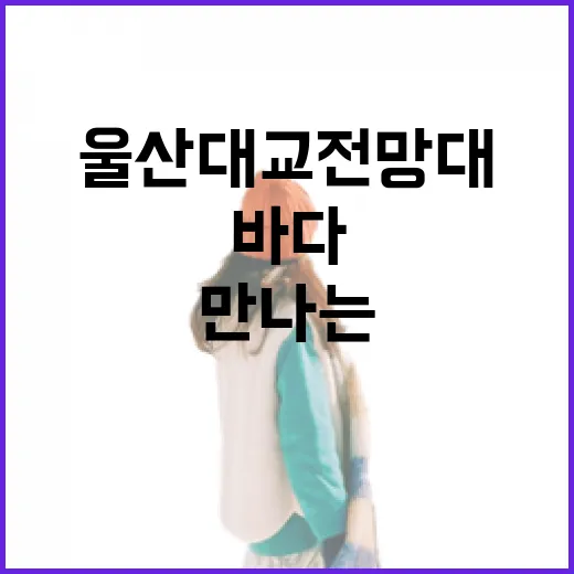 울산대교 전망대에서 만나는 도시와 바다의 조화