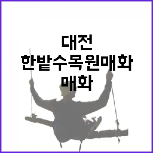 대전 한밭수목원 매화 향기 가득한 봄 산책