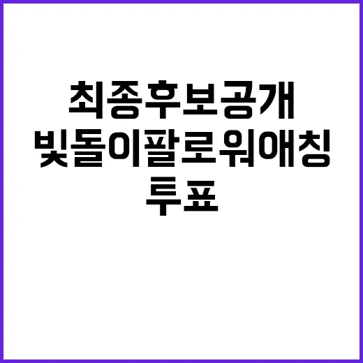 빛돌이 팔로워 애칭…