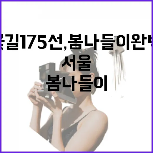 서울 봄꽃길 175선, 봄나들이 완벽 가이드