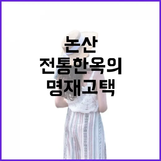 논산 명재고택에서 만나는 전통 한옥의 봄 풍경