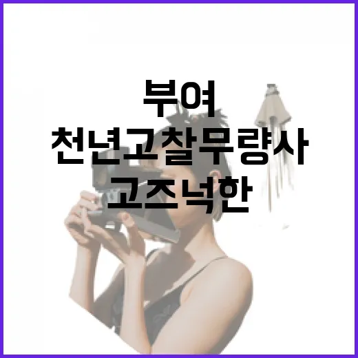 천년고찰 무량사, 부여의 고즈넉한 명소