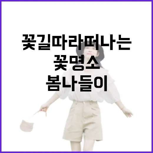 충남 봄꽃 명소 3선, 꽃길 따라 떠나는 봄나들이