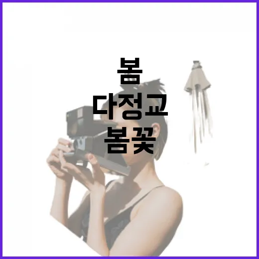 봄꽃 피기 전 다정교 산책길